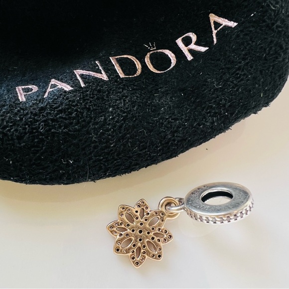 Exquisite Pandora 14K Gold & Sterling 2-Tone Lace Botanique Dangle Charm RARE - Picture 6 of 9